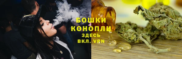 PSILOCYBIN Богородицк