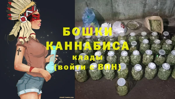 гашик Богданович