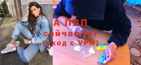 гашик Богданович